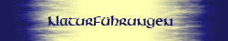 Linkbutton Naturfuehrungen
