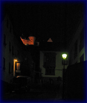 Blick zur Burg